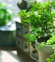 伊春专属于你的开运指南，助你鸿运当头福满身！